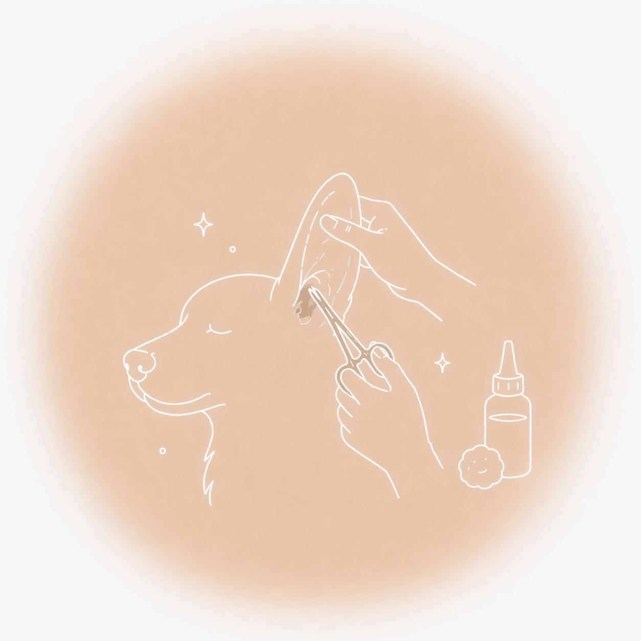 Ear Cleaning + Plucking at Av and Dogs in Santa Clara, CA