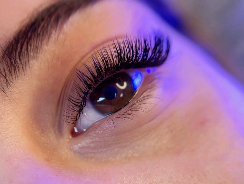 3/4 D Volume Full Set at Lu Lash Salon in Fort Lauderdale, FL