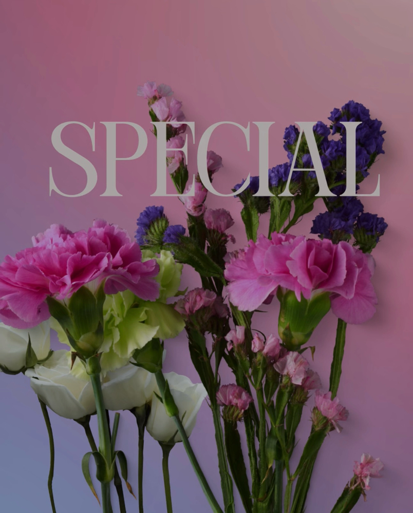 Spring Cleaning (spring special)