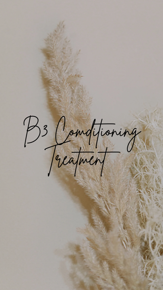 B3 Conditioning Treatment