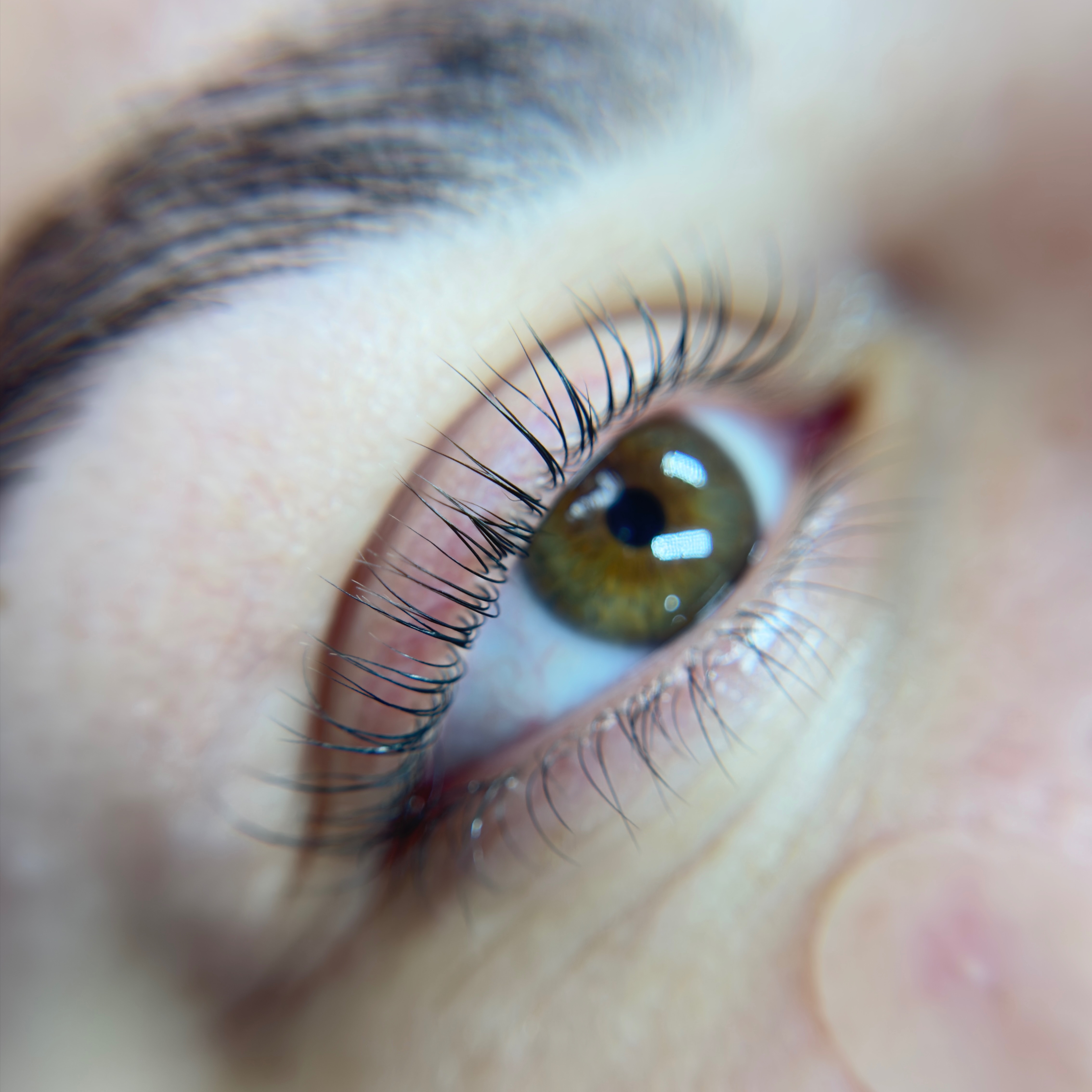 Lash Lift at Celine - The Lash Resort in San Jose, CA