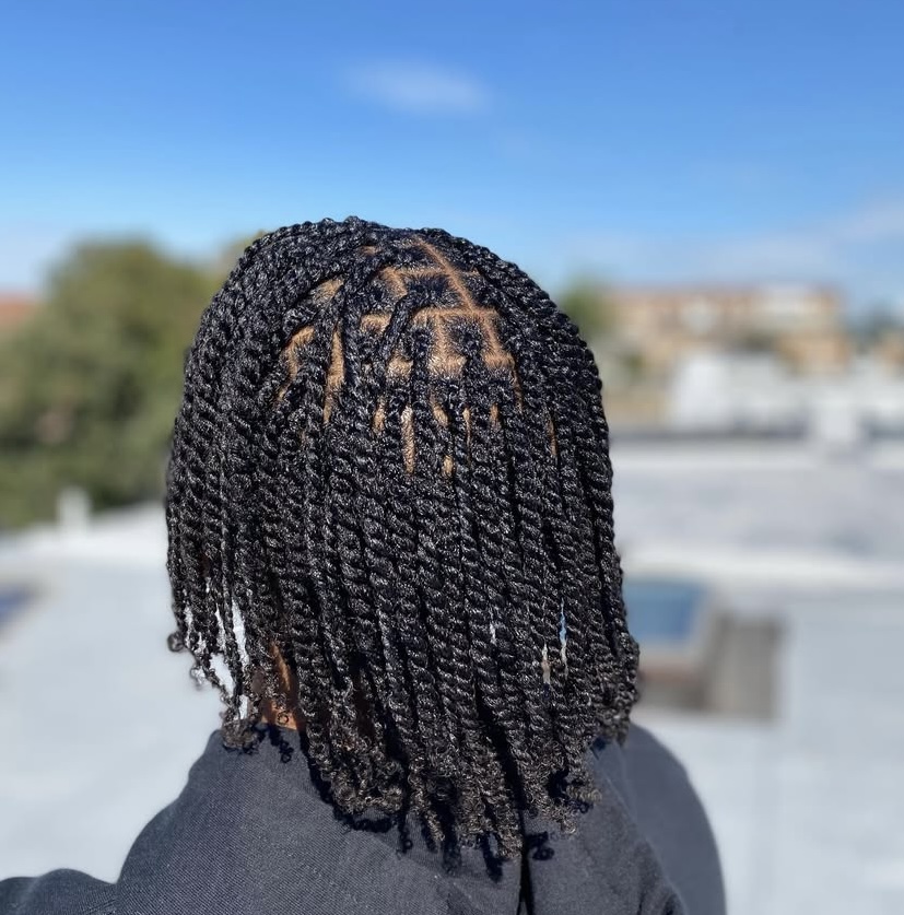 Mini 2 Strand Twist