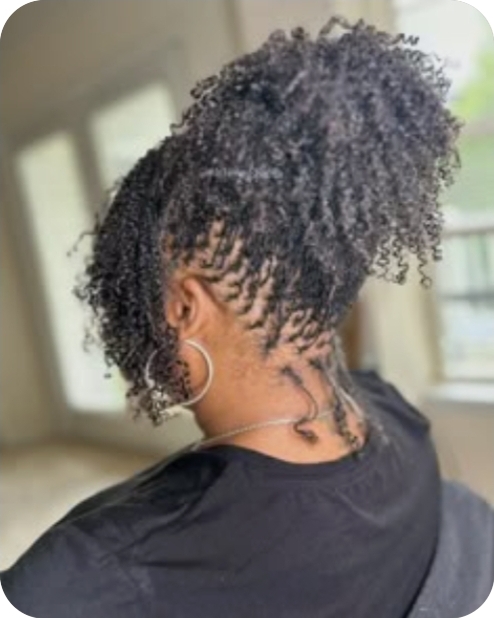 Sister/ Micro Locs