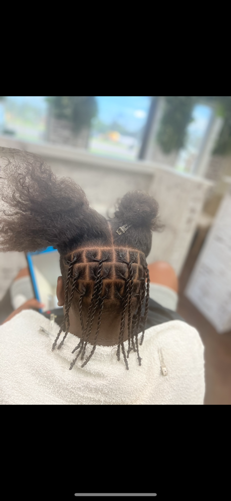 Adult Natural Hair W/ Smal 2Strand