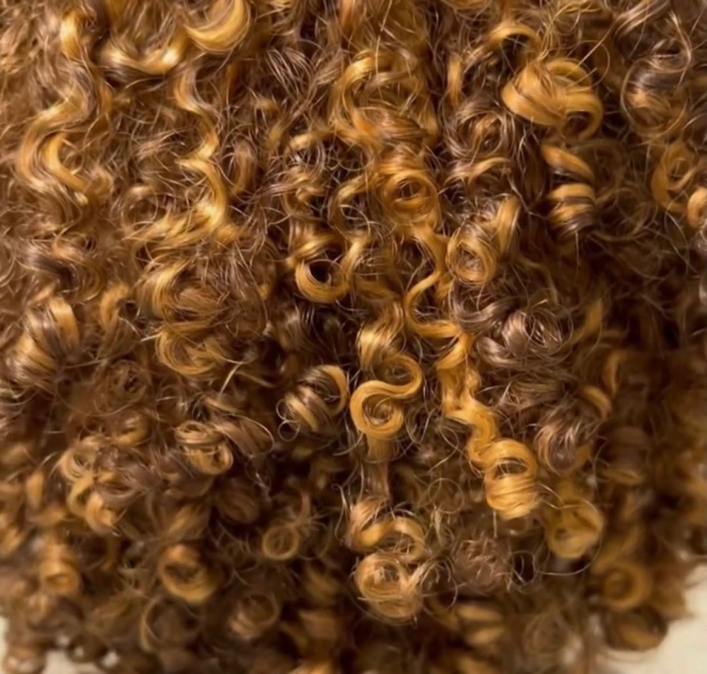 Pintura Highlights for Curly Hair
