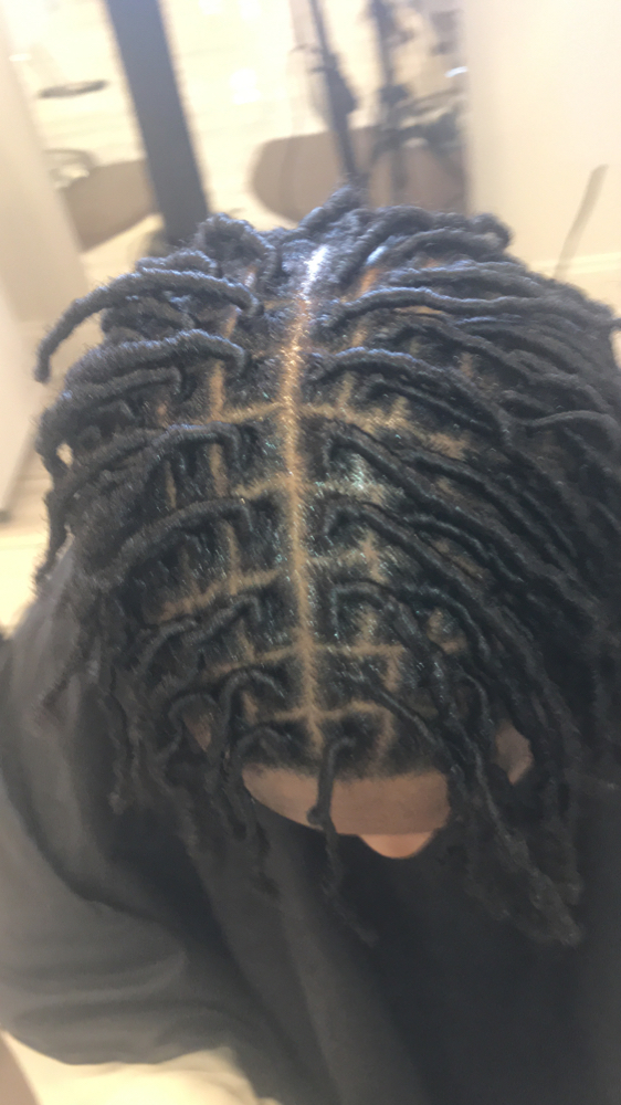 Starter Locs All Ages