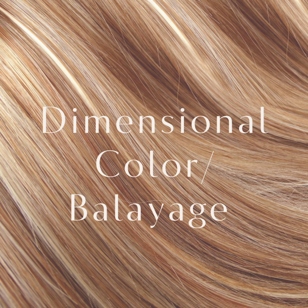 Dimensional Color/ Balayage