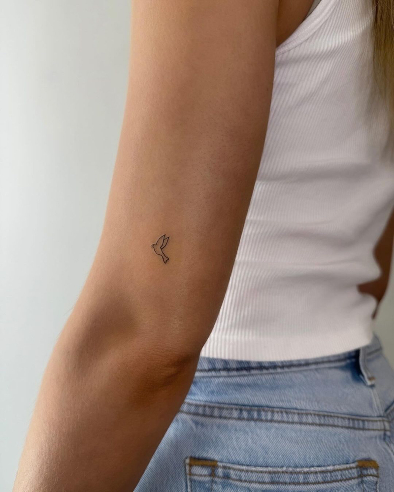 Tattoo Removal ( Tiny Ink) 2X2