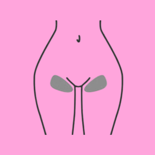 Bikini Line Wax
