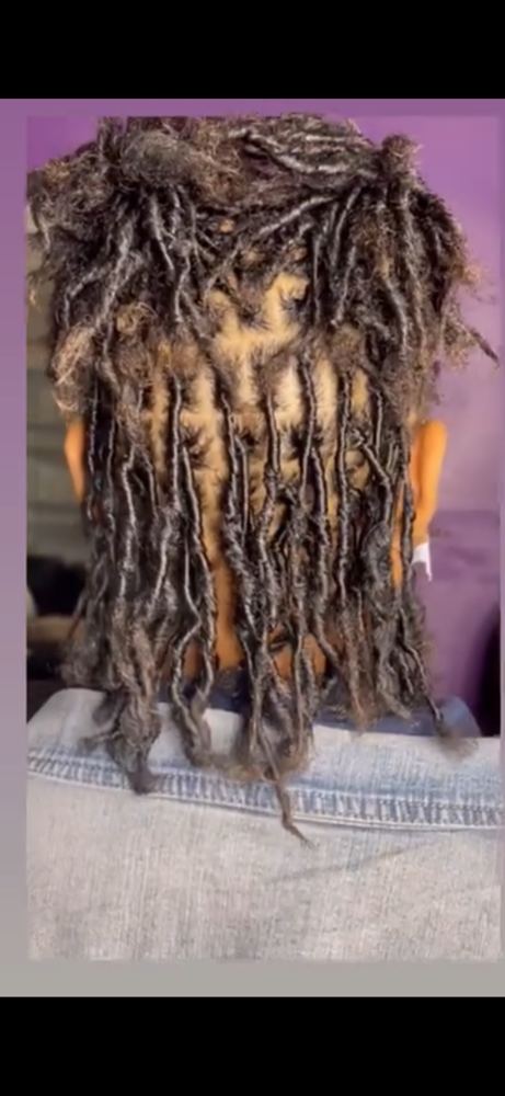 Starter Locs
