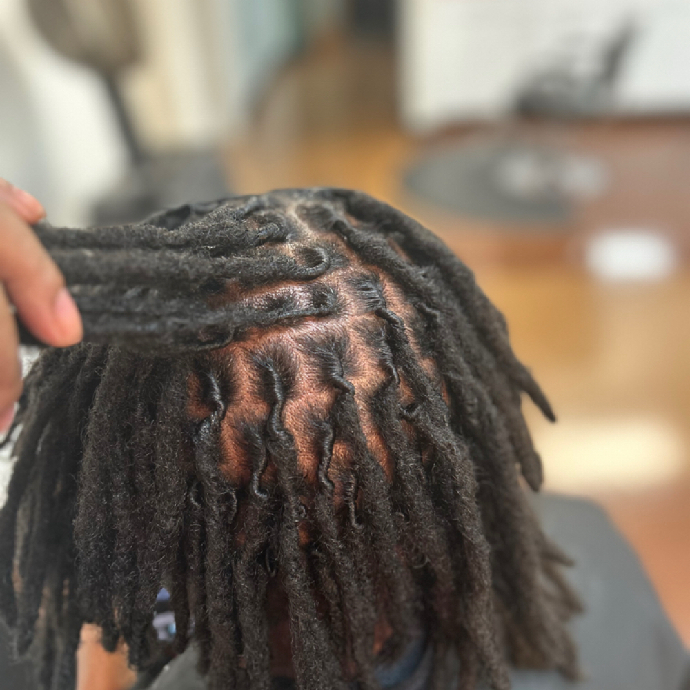 Retwist at Middletown Mane in Louisville, KY