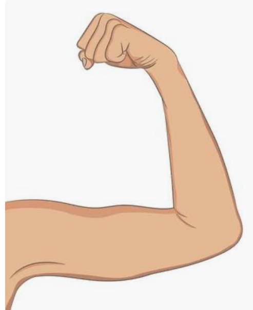 Full Arms Wax Roll on .