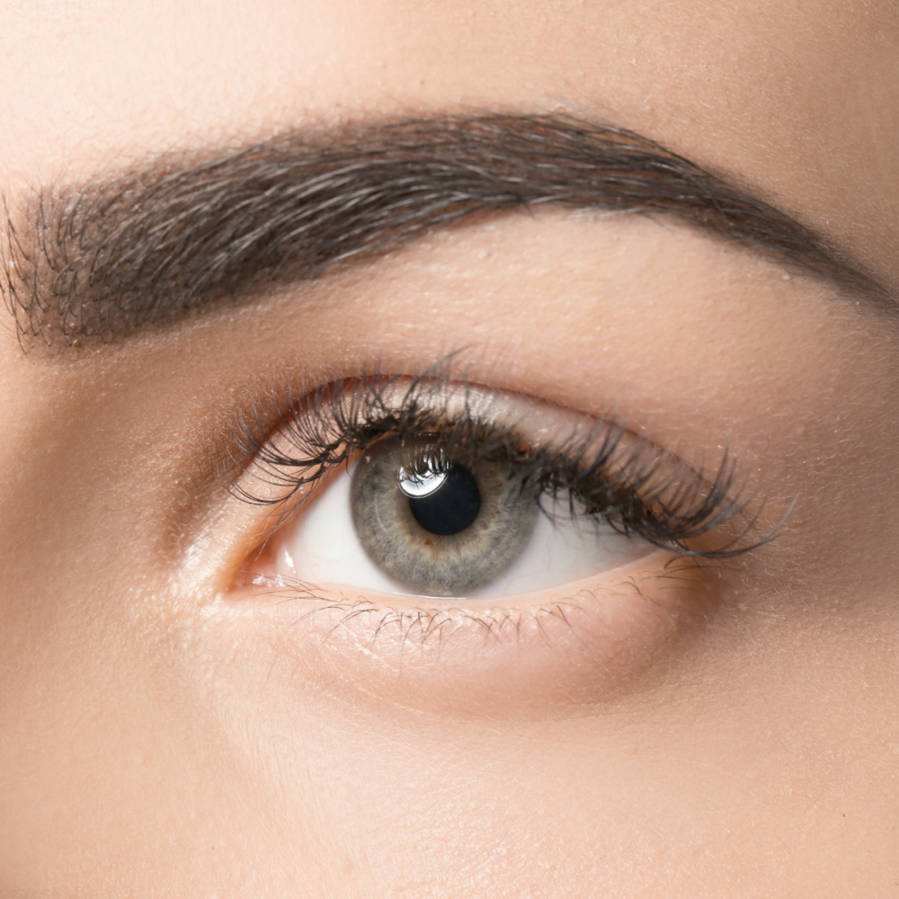 Brow Shape & Tint | In-Studio