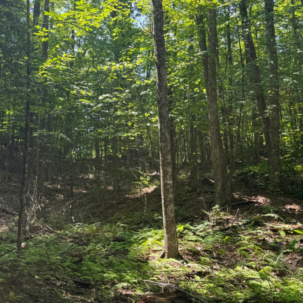 Rest & Restore Add-On at Amanda Duffy LLC in Williston Or Saint Johnsbury, VT