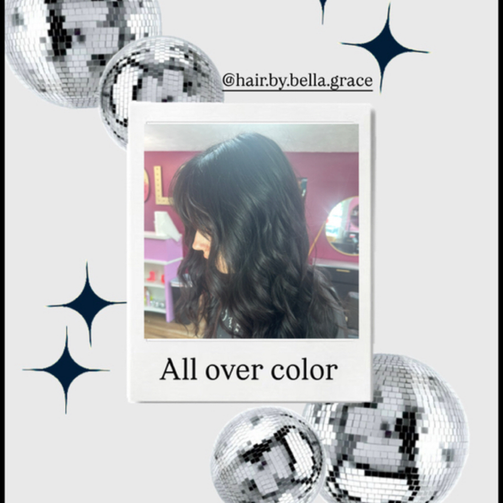 All Over Hair Color at BOLD Beauty Bar & Extensions in Norwalk, OH