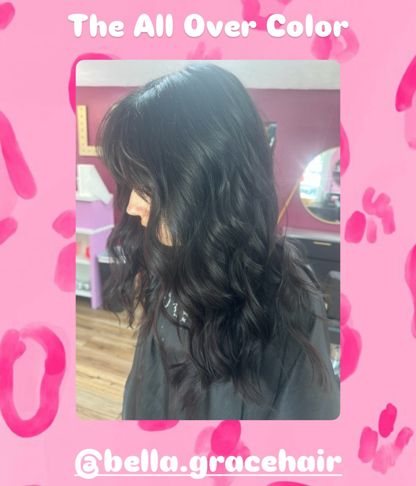All Over Hair Color