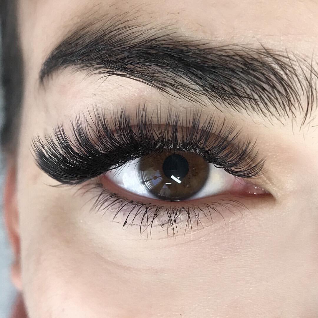 GLAM VOLUME at Tata Pestaña in Ave María Fl, FL