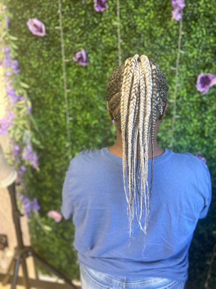 Braided Ponytail Hairstyle at The Braid Boutique 706 in Augusta Ga, GA