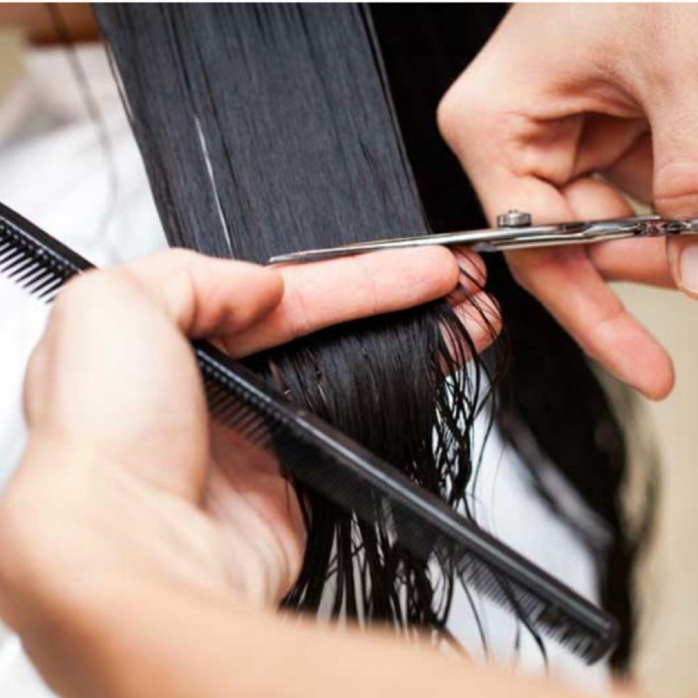 Curated Haircut at Sepia Suite in Weymouth, MA