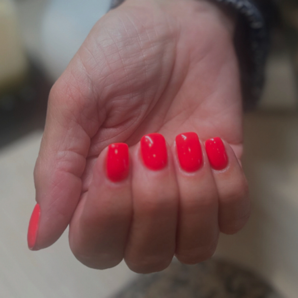 Shellac Manicure at The Mani Pedi Parlor in Linden, MI