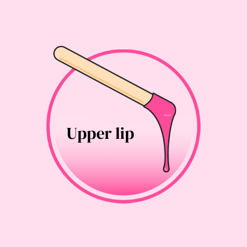 Upper Lip