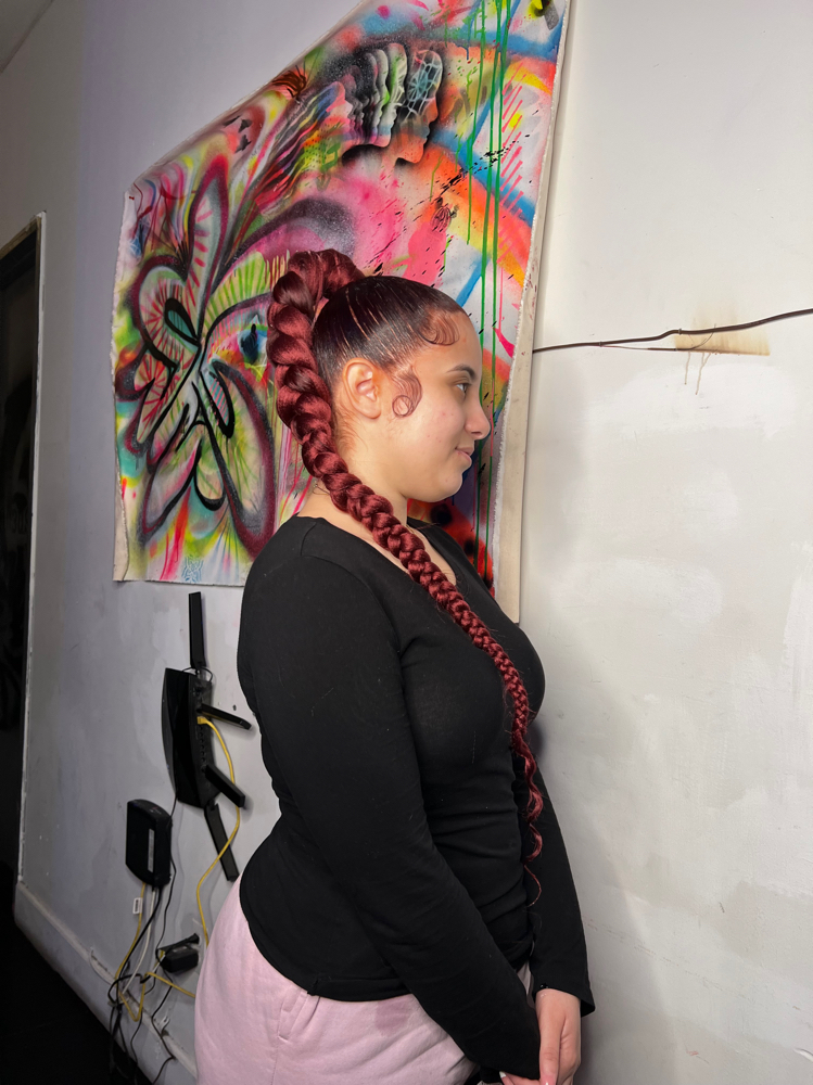 Braid Ponytail(hair Included)