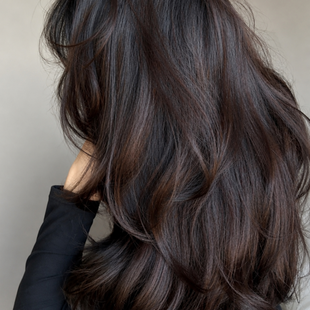 Haircut at Nina in Marlborough, MA