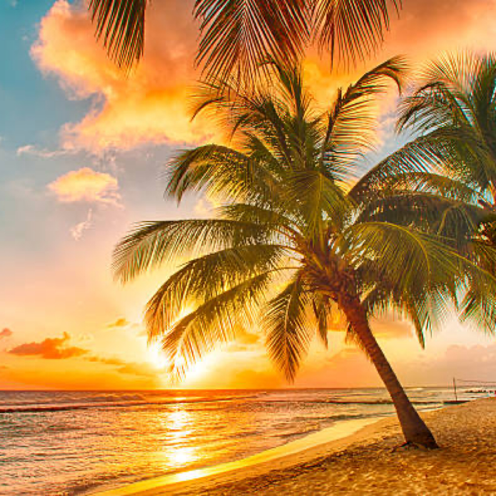 Tropical Escape Facial at Serenity Skin Lounge in Deptford, NJ