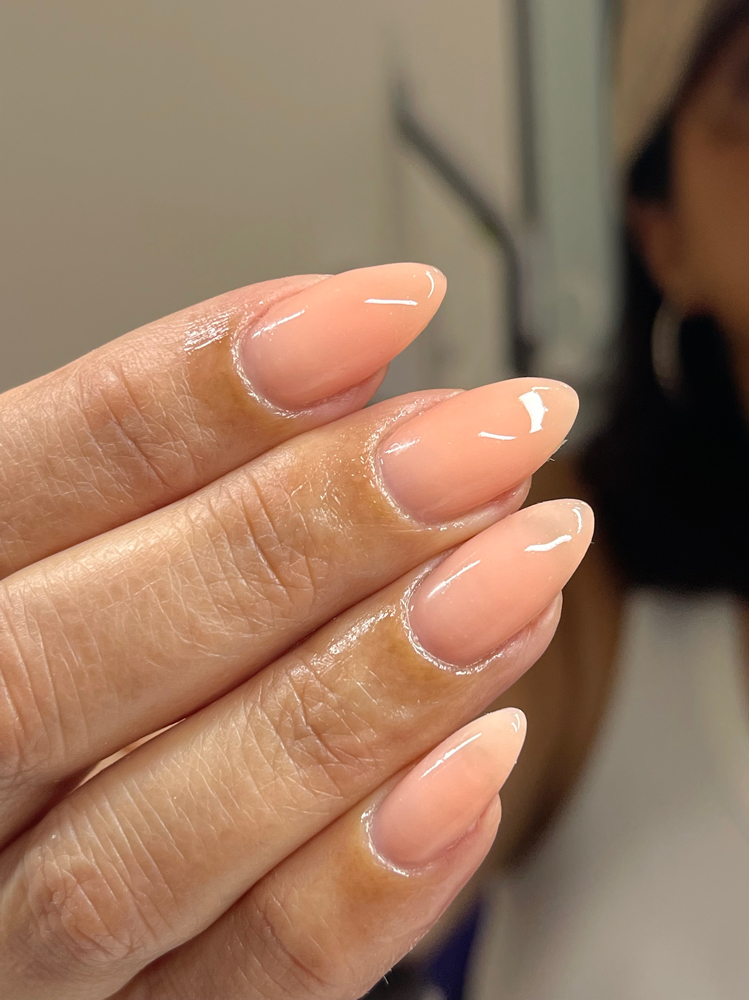 Solid Color Special! (Tuesday Only)
