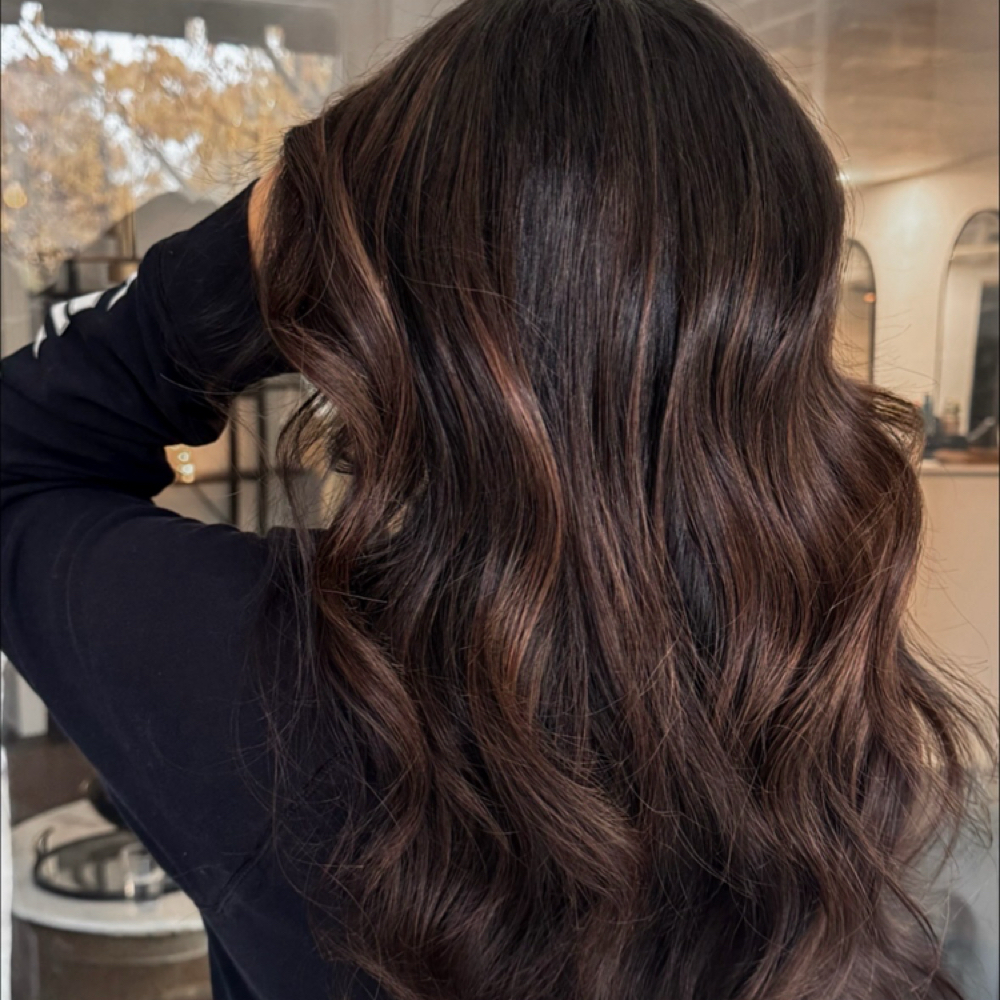Balayage, Cut And Style at Hair By Holly @ Blush + Ivy in Wheaton, IL