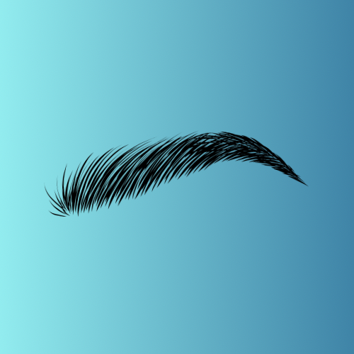 Brow Tint