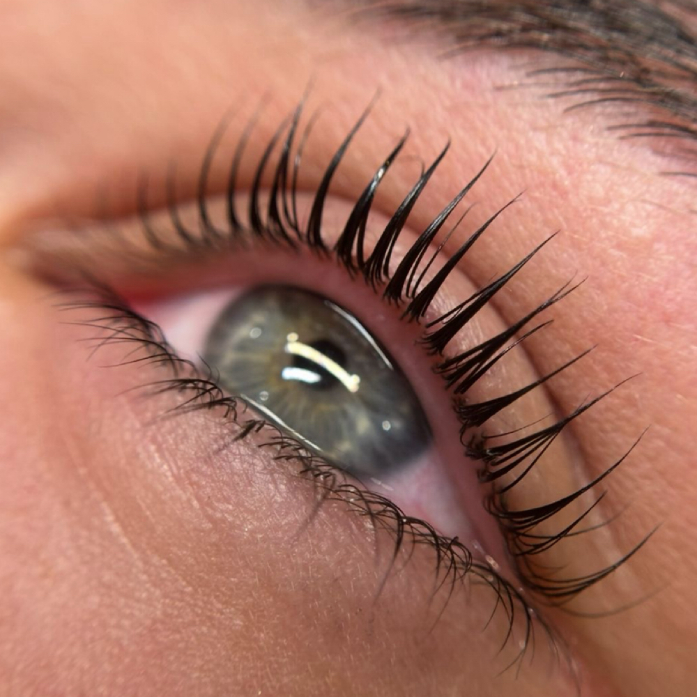 Korean Lash Lift and Tint at Idaho Beauty Lounge in Eagle, ID