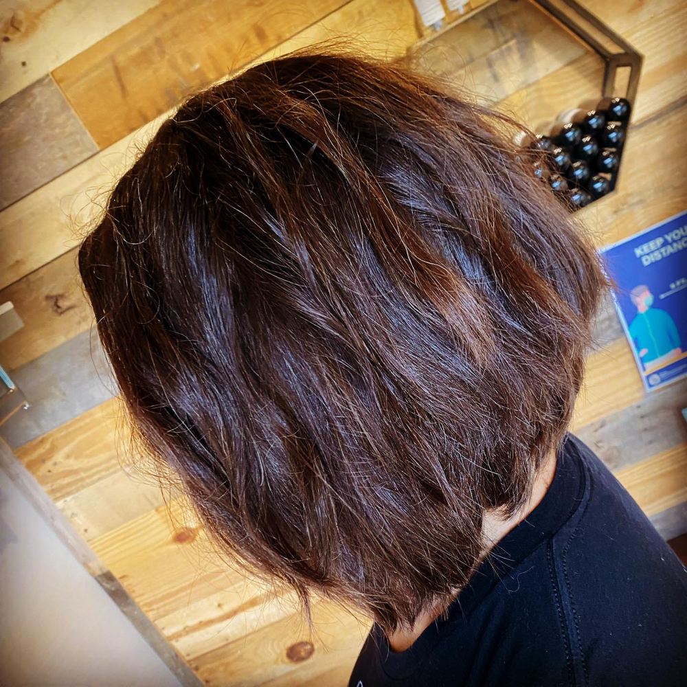 Color Touch Up Includes Cut