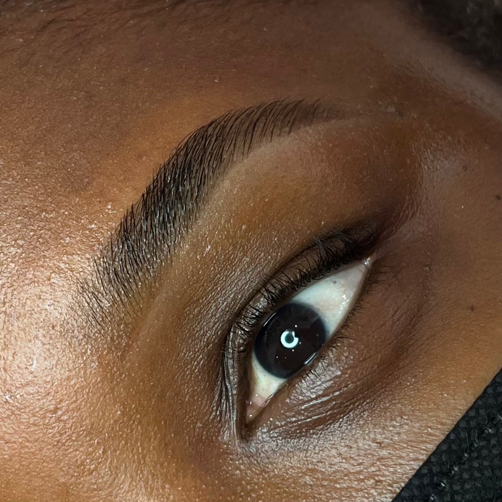 Browbanz Signature Brow