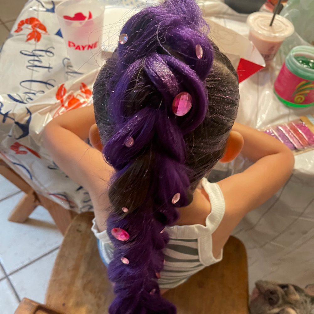 Demon Hunter Braid 💜🔥 at The Hair Bar 2 (HB2) in Weslaco, TX