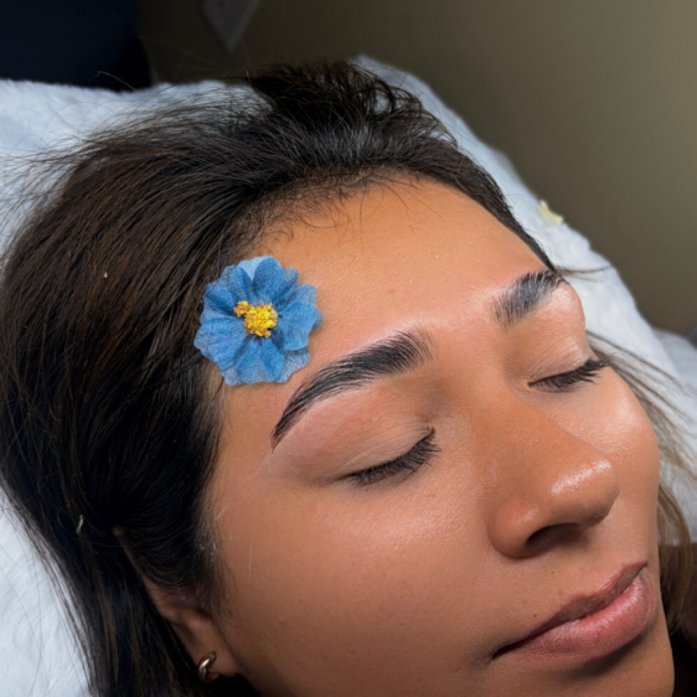 Laminate, Design & Wax at Pretty lashes in provo, UT