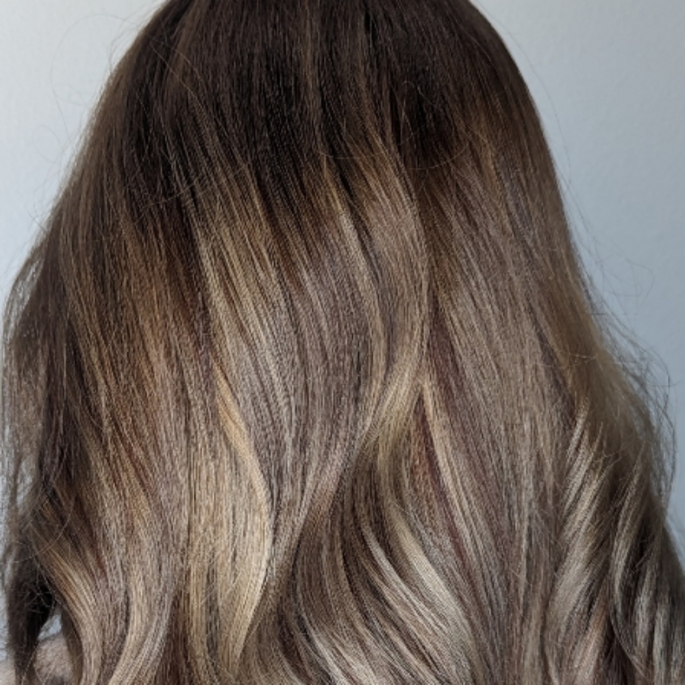 Partial Highlight at Daniela  Reneé Atelier in Kansas City, MO