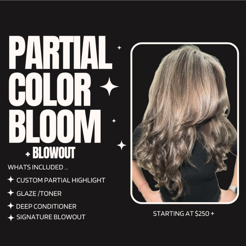 Partial Color Bloom + Blowout at The Mane Garden Salon in Huntington, NY