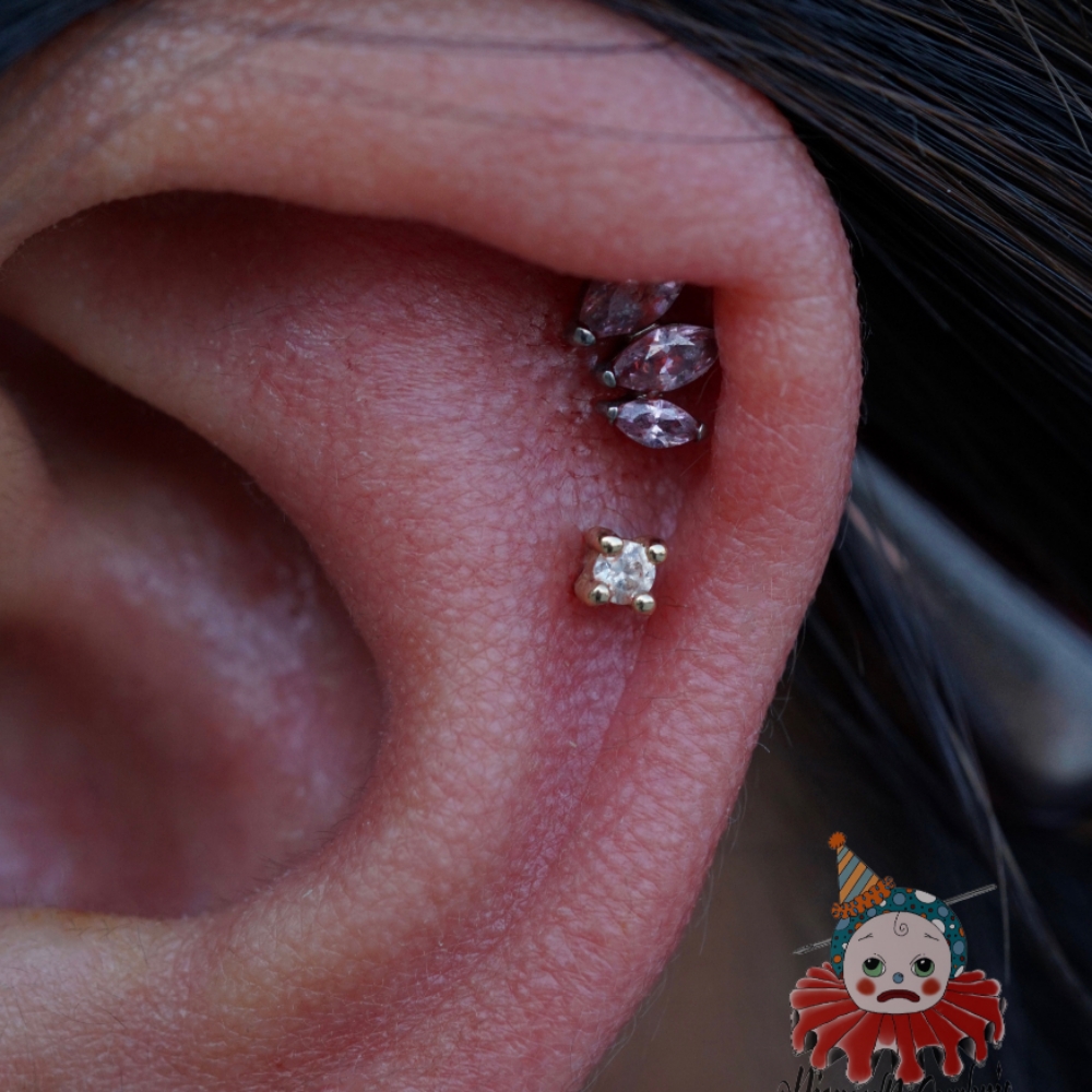 Helix (Double/Paired) at Ethereal Adornments Pierced By Cambria in Murrieta, CA