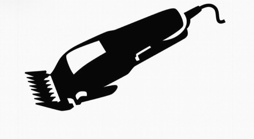 Clipper Cut at Jessica  Richmond in Grayson, KY