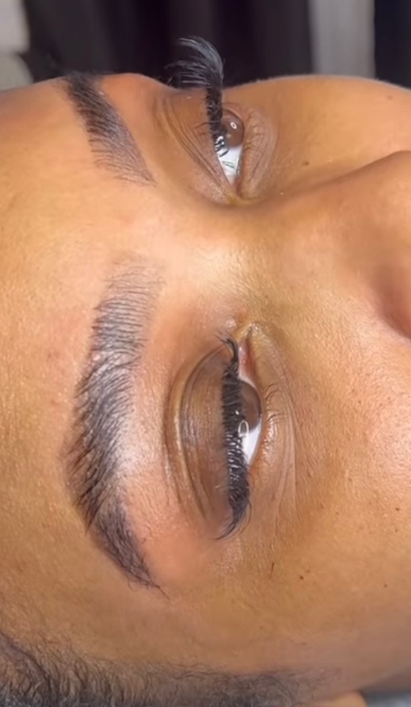 Eyebrow Tinting + Lamination