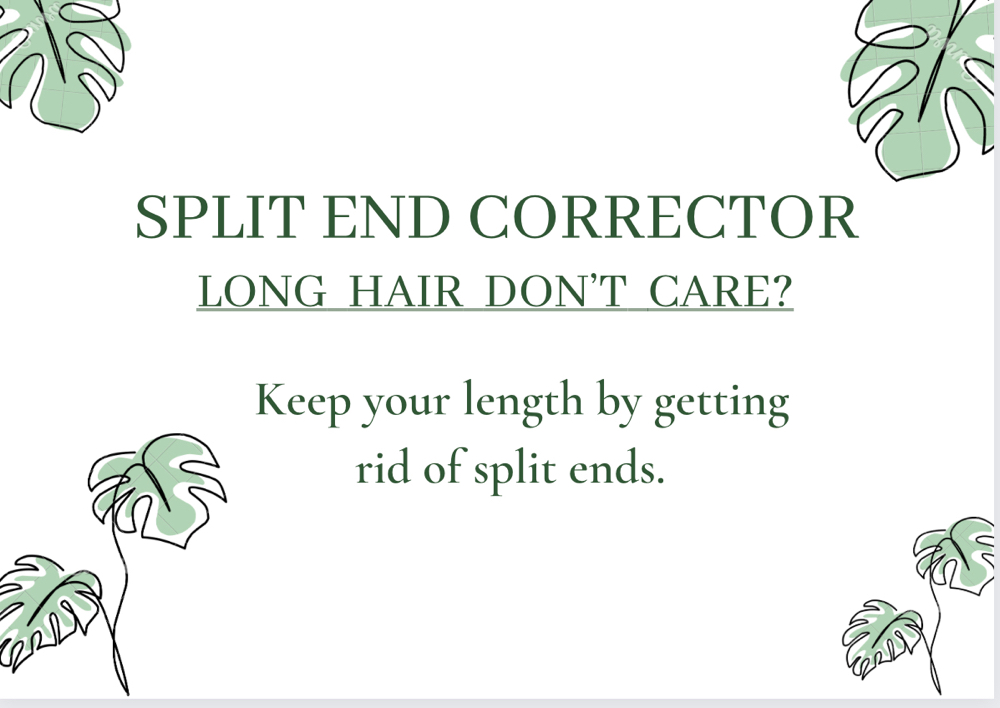 Brazilian Split End Corrector