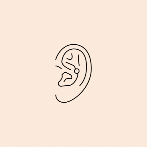 Conch Piercing
