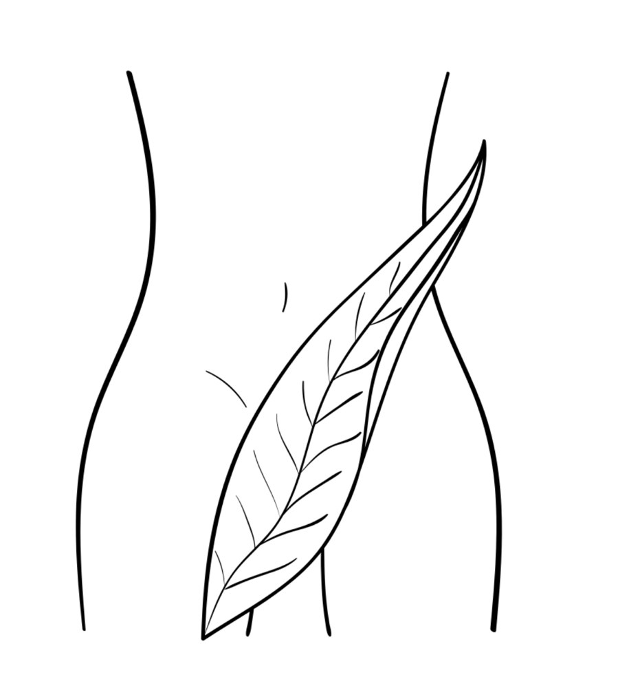 Bikini Line