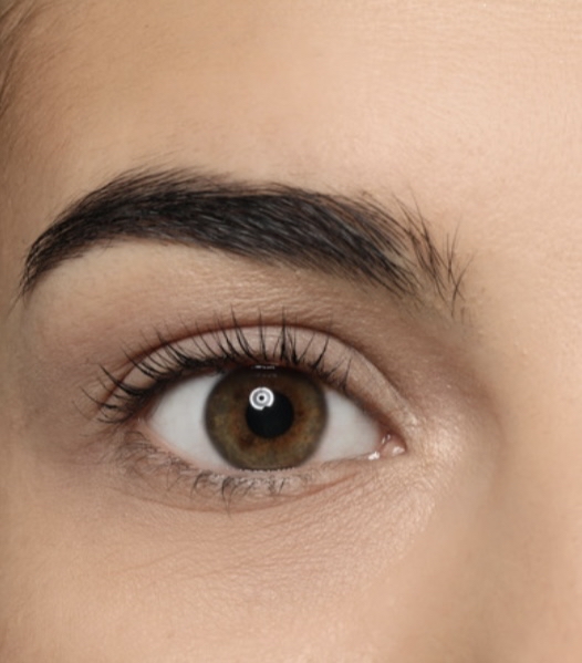 Brow Makeover + Lash Tint