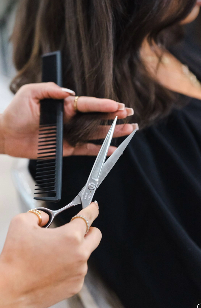 Partial Foil, Retouch & Cut at Styled Eleven in Cary, NC