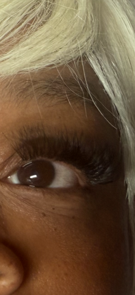 One Week Lash Fill In