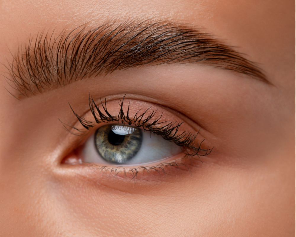 Brow Lamination + Tint + Wax