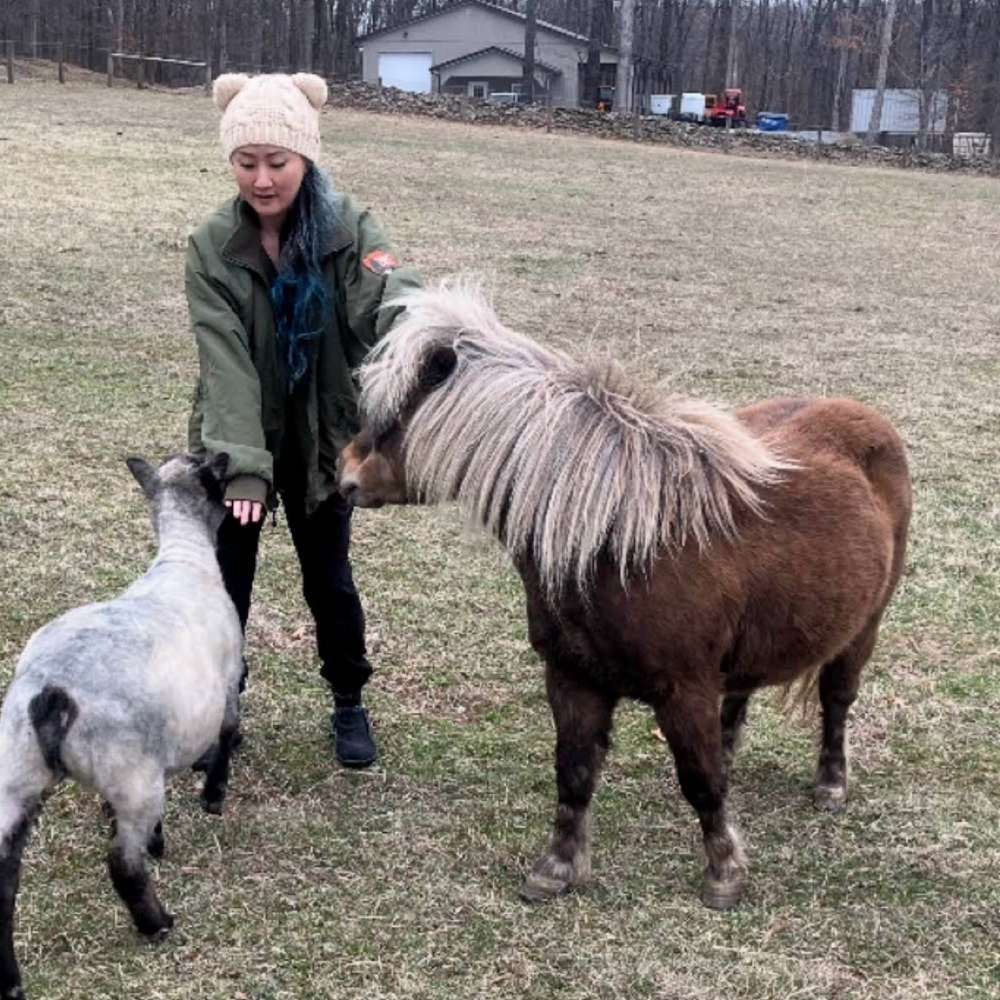 Farm Meet & Greet No Treatment at Hybrid Healer LLC in Gladstone, NJ
