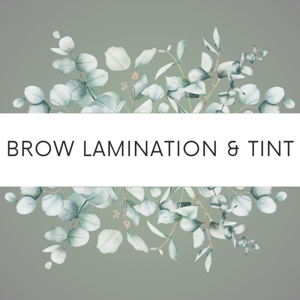 Brow Lamination with Tint